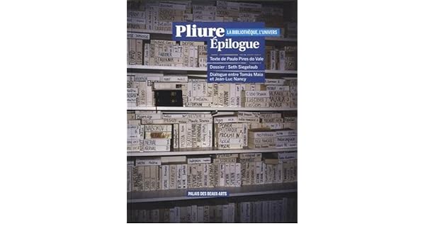 Pliure Epilogue La Bibliothèque Lunivers Paulo Pires Do - 