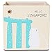 kaikai & ash Toy Storage Bins, Canvas Box Organizer, Kids 13 inch Cube - Singapore