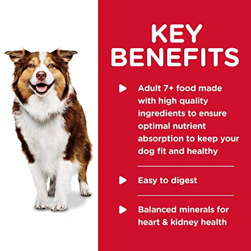 Hills-Science-Diet-Canned-Wet-Dog-Food-Senior-7