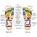 BIAL EX Massage Slipper Shoes Rotating Accupressure Foot Slippers for Men Women (Average Size)