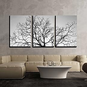 Dead Tree Branch Black and White x3 Panels
