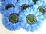(12) BIG Silk Blue Gerbera Daisy Flower Heads , Gerber Daisies - 3.5
