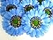 (12) BIG Silk Blue Gerbera Daisy Flower Heads , Gerber Daisies - 3.5