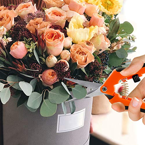 RIOGOO 3 Pack Gardening Shears Hand Pruner Pruning Shears Stainless Steel Bypass Garden Clippers