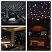 DEESEE(TM) NewWall Stickers104/407Pcs Glow In The Dark Star Round Dot Luminous Kids Room DecorWallpaper Party Home Decor (407Pcs)