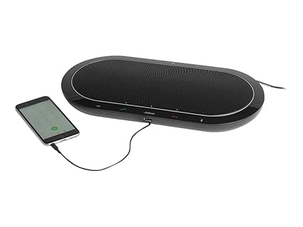 jabra810