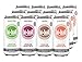 Hiball Energy Sparkling Water, Vanilla, Wild Berry, Grapefruit, and Lemon Lime, Variety Pack, 16 Fl. Oz (Pack of 12)