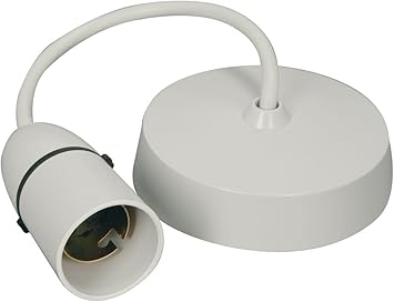 6 Inch Ceiling Rose And Light Pendant Set Lamp With White Plastic