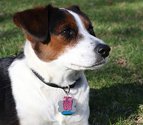 SilenTags Pet Tag Silencer Clip It On, Jingle's Gone! -Pink