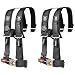 Pro Armor Black 4-Point Harness with 2" Pads A114220 (2 Pack)