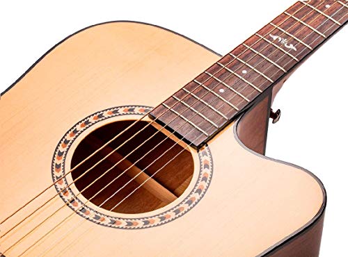 3 Monoprice+Idyllwild+Acoustic+Electric+Fishman