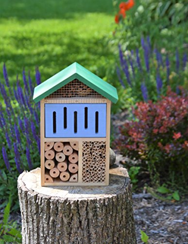 Nature's Way Bird Products CWH7 Insect House