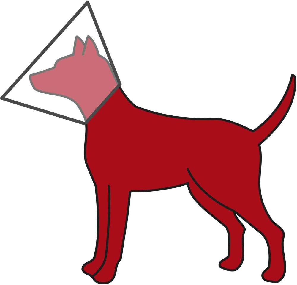Trixie Protective Collar with Velcro Fastener, X-Small/Small, Clear, X-Small/Small (Pack of 1) - Image 3