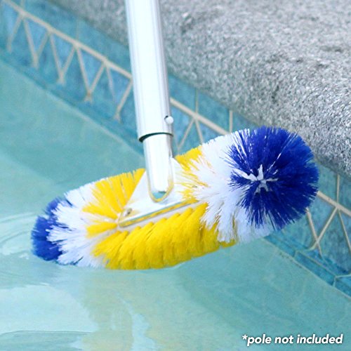 Blue Torrent AC 88072 Brush Around 360-Degree for Swimming Pools, 12"