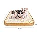 Yeelen Pet Cat Bed Mattress Soft Quilted Cat Cushion Pad Simulated Creative Toast Seat for Cute Animal Catty and Doggy Sleeping Playing Resting (FOAM)