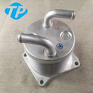 Amazon.com: For Nissan Juke Rogue CVT Transmission Oil Cooler 21606