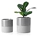 Greenaholics Grey 6 + 4.7 Inch Planter Indoor Ceramic Flower Pot for Succulent with Drainage Hole Set of 2