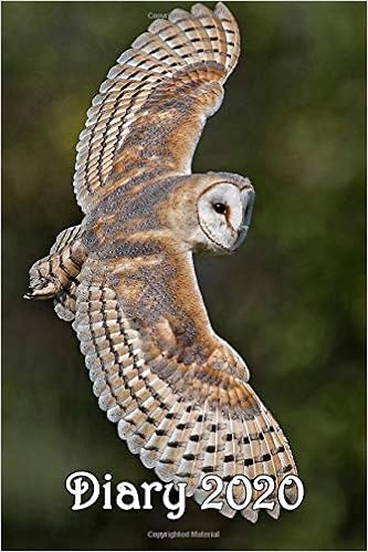 Diary Barn Owl Flying Bespoke Personalised Desk Diary Contact