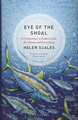 Eye Of The Shoal A Fishwatchers Guide To Life The Ocean