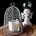 Colonial Tin Works Chicken Wire Cloche, 10 inches tall, Vintage, Rustic Barn Roof Finish, Silver
