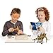 Paleo Expedition - Dino Excavation Kit - Stegosaurus