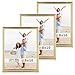 LaVie Home 8x10 Picture Frames(3 Pack, Gold) Single Photo Frame with High Definition Glass for Wall Mount & Table Top Display, Set of 3 Basic Collection