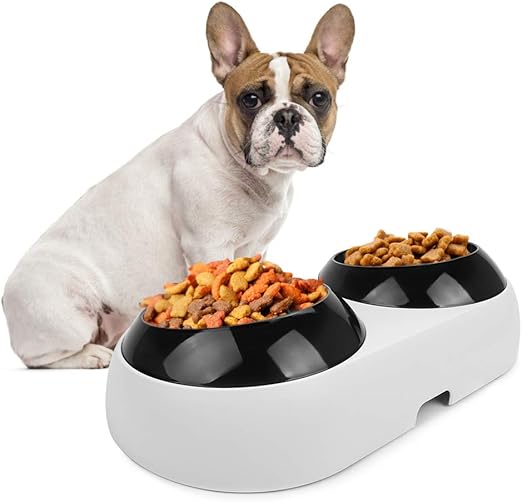 flat dog bowl
