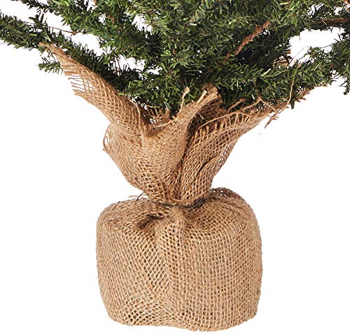Vickerman Carmel Pine Tree - Image 2