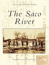The New York City Triangle Factory Fire (Images of America)