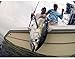 PENN® Carnage™ II Jigging Spinning