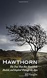 Hawthorn: The Tree That Has Nourished, Healed, and