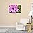 Canvas Prints Wall Art - Pink Daisy Close Up | Modern Wall Decor/Home Decoration Stretched Gallery Canvas Wrap Giclee Print. Ready to Hang - 24" x 36"