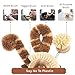 Ecozoi Plant Based Cleaning Brush Set, 4 Piece for Vegetable, and Kitchen Dish Cleaning, Sisal & Coconut Fibers with Bamboo Handles, Zero Waste & Biodegradable Kitchen Brushes