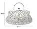 SSMY Beaded Sequin Design Flower Evening Purse Large Clutch Bag