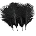 Sowder 20pcs Natural 10-12inch(25-30cm) Ostrich Feathers Plume for Wedding Centerpieces Home Decoration(Black)
