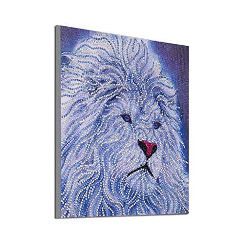 VEZAD Special Shaped Diamond Painting DIY 5D Partial Drill Cross Stitch Kits Crystal R