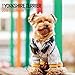 Yorkshire Terrier 2018 Mini Calendar