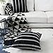 Home Brilliant Classic Black White Stripes Lace Throw Pillow Covers Decorative Euro Shams, 2 Packs, 24x24 inches(60cm), Black