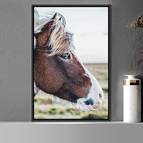 signwin Framed Canvas Wall Art Horse Animals Dramatic...