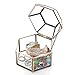 4.75 inch Faceted Hexagonal Clear Glass & Brass Metal Hinged Top Lid Plant Terrarium Box/Tabletop Display Case