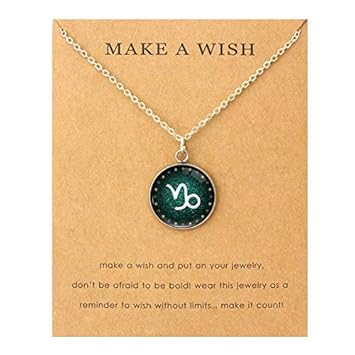 Get Steinbock zwilling For iPhone Steinbock Zwilling