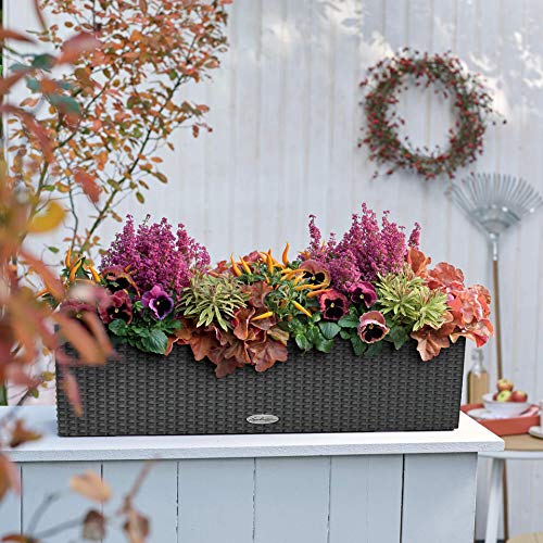 LECHUZA BALCONERA Cottage 80 mokka 15615 – Bild 6