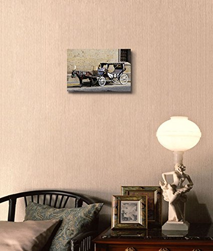 Horse Drawn Carriage Waiting for Tourists in Historic Guadalajara Jalisco Mexico