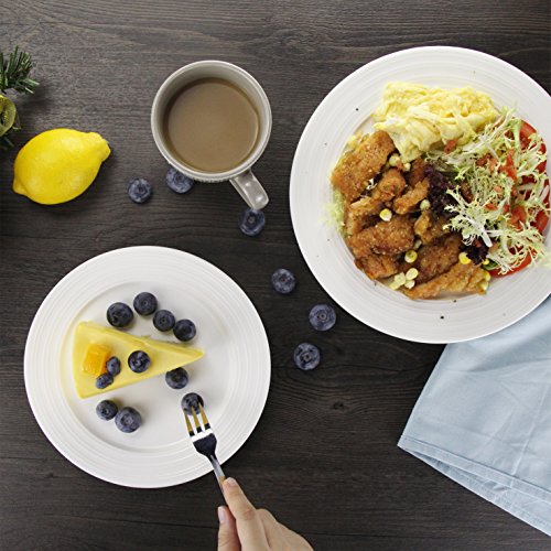 Best Plate Sets Reviewed 2018 JanesKitchenMiracles