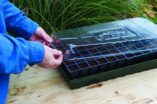 Burpee 72 Cell 72 Cell Self-Watering Seed Starting Kit, 72 Cell Black - Thumbnail 4