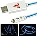 [MFi Certified] iasg 3.3feet/1meter Visible Blue Flowing LED Light up charging cable Lightning to USB Cable Flat 8-Pin Data Sync Cable for iPhone iPad iPod (Blue Light)