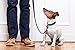 Mighty Paw Leather Dog Leash - Genuine Distressed Material - Premium - Suitable for All Pet Sizes - Heavy Duty Dogs Leashes - Modern - Dark