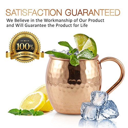 1 Mule+Science+Moscow+Copper+Mugs