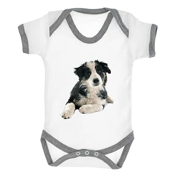 Amazon Com Black White Border Collie Puppy Image Baby Bodysuit