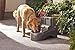 PetSafe Drinkwell Indoor/Outdoor Dog Fountain, Pet Drinking Fountain for Dogs and Cats, 450 oz. Water Capacity